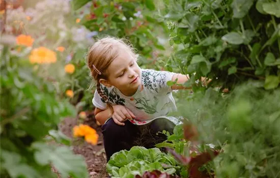 Säen und Pflanzen: Wie sich Kinder fürs Gärtnern begeistern lassen