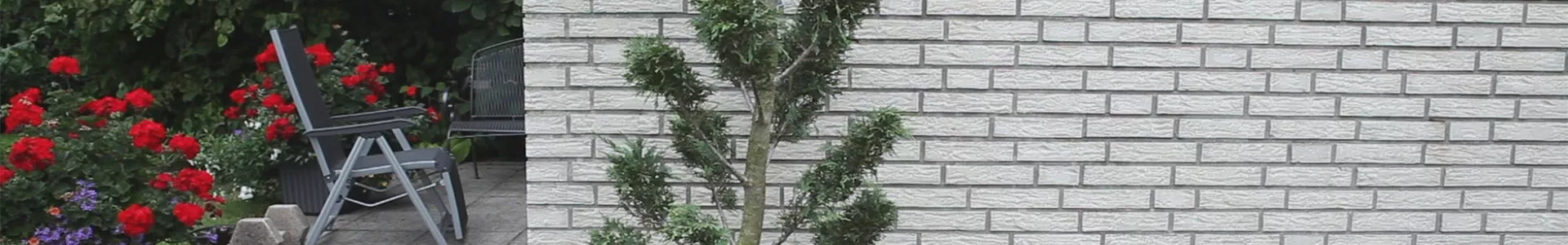 Zypresse - Einpflanzen im Garten (thumbnail).jpg