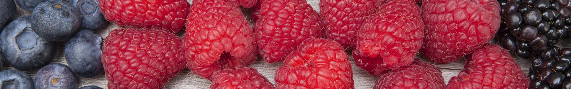 GS510183.jpg GS510183.jpg