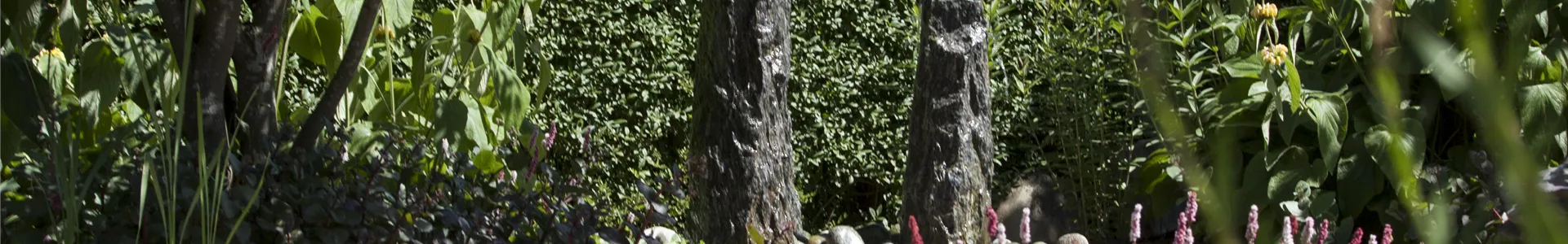 GS428376.jpg