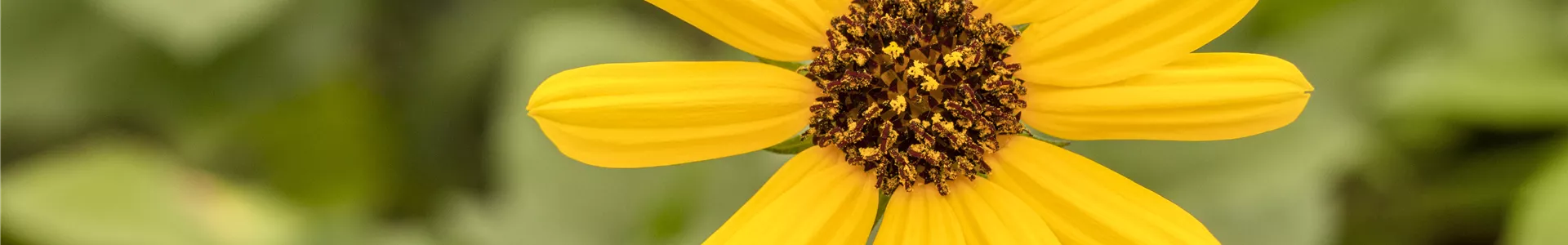 GS516566.jpg GS516566.jpg