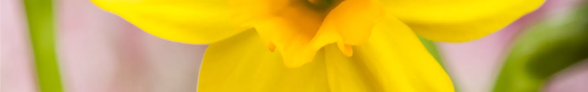 GS528177.jpg GS528177.jpg