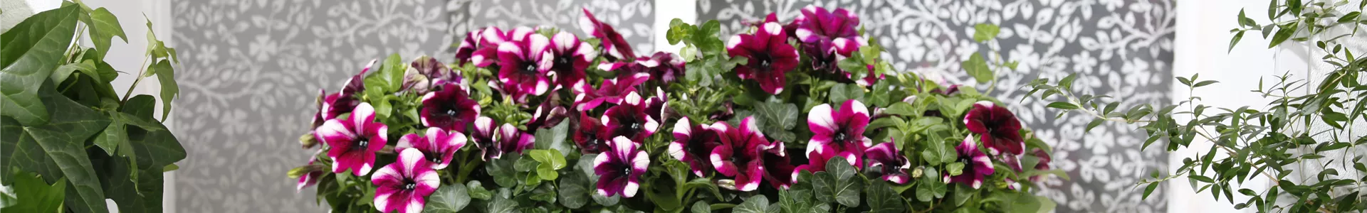 GS477880.jpg GS477880.jpg