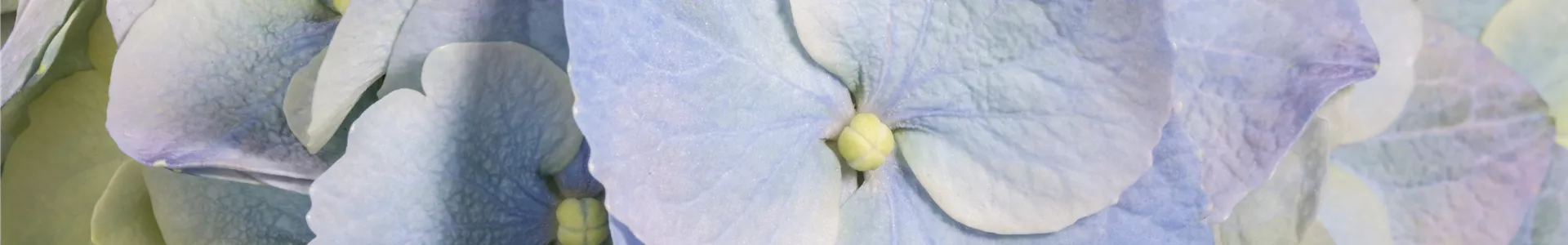 GS409487.jpg GS409487.jpg