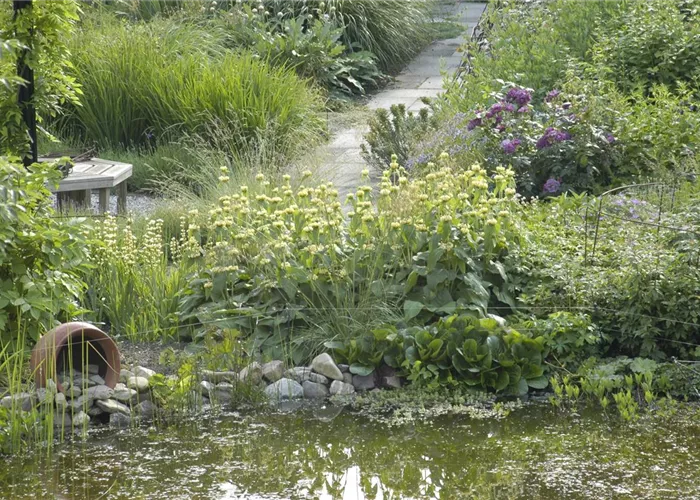 Der Naturgarten - Ausgleich zum Arbeitsalltag