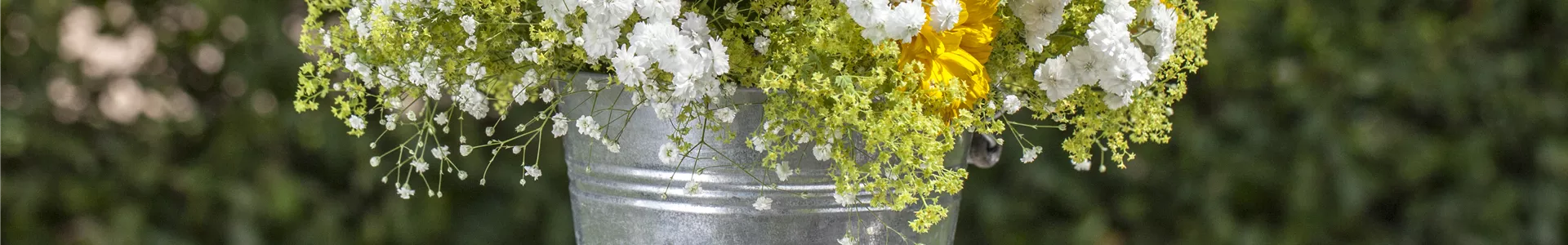 GS496944.jpg GS496944.jpg