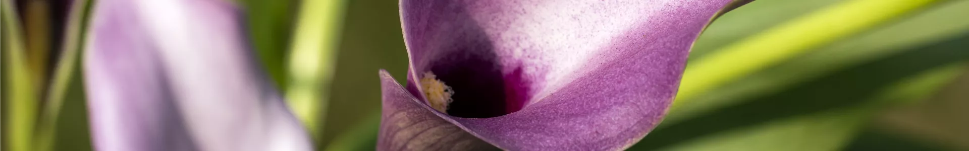 GS596989.jpg GS596989.jpg