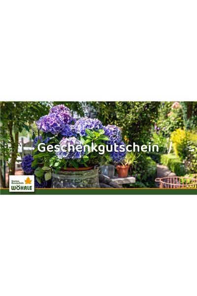 Individueller Gutschein