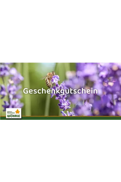 Individueller Gutschein